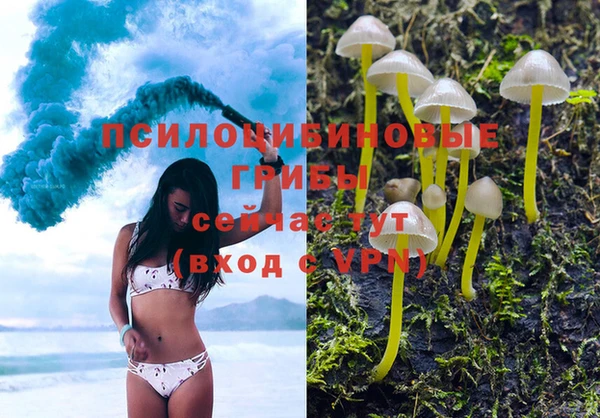 spice Алексеевка