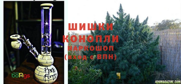 spice Алексеевка