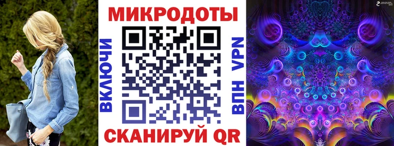 Галлюциногенные грибы Psilocybe  Пыталово 